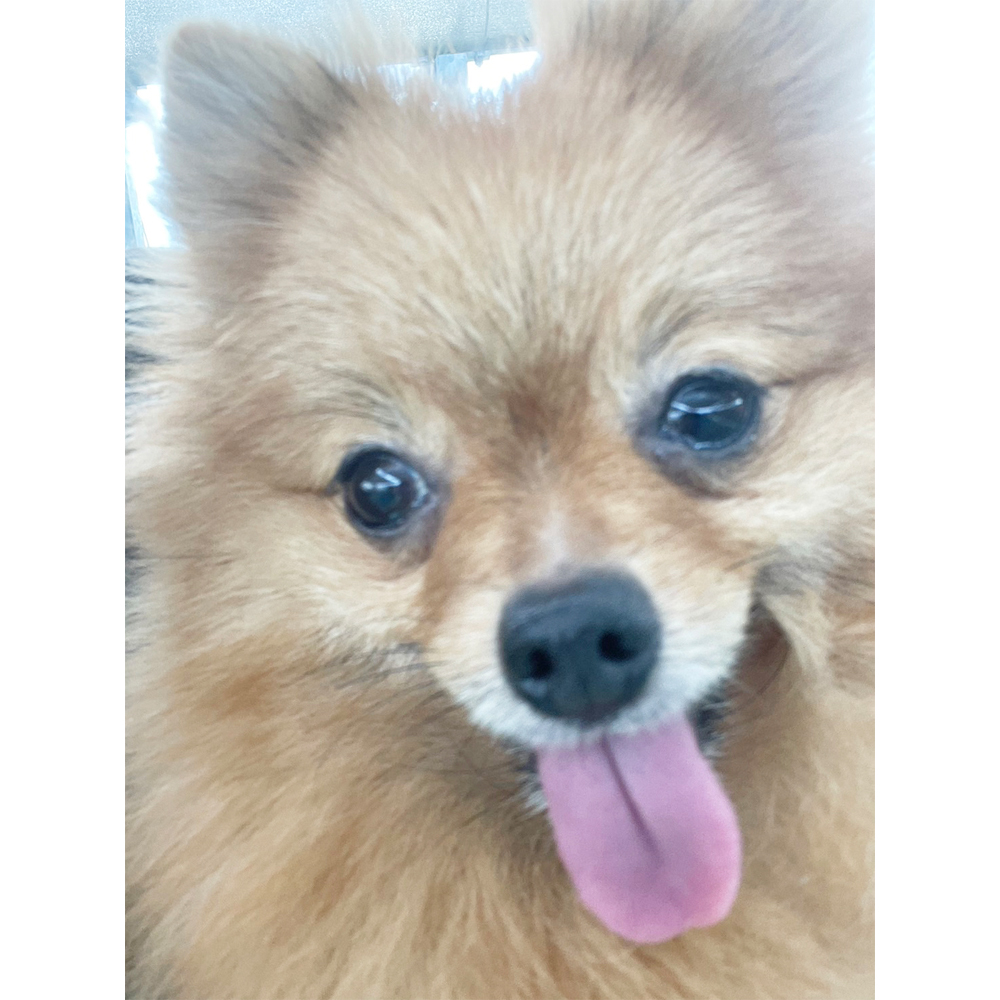Ｗａｎ活で生徒が撮影した写真♪②